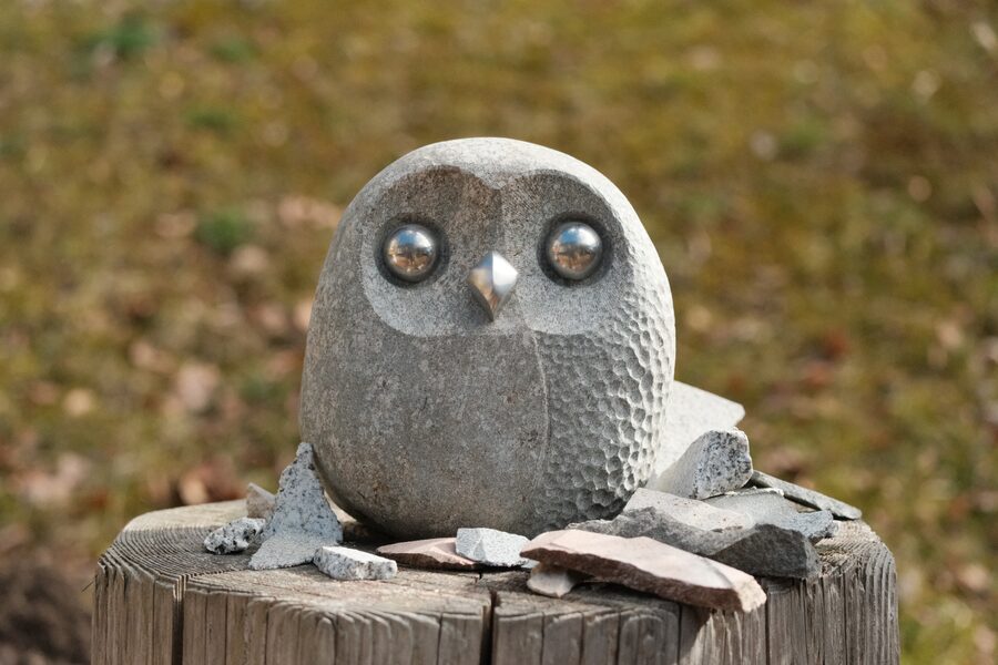 Steineule Nora aus Gabbro